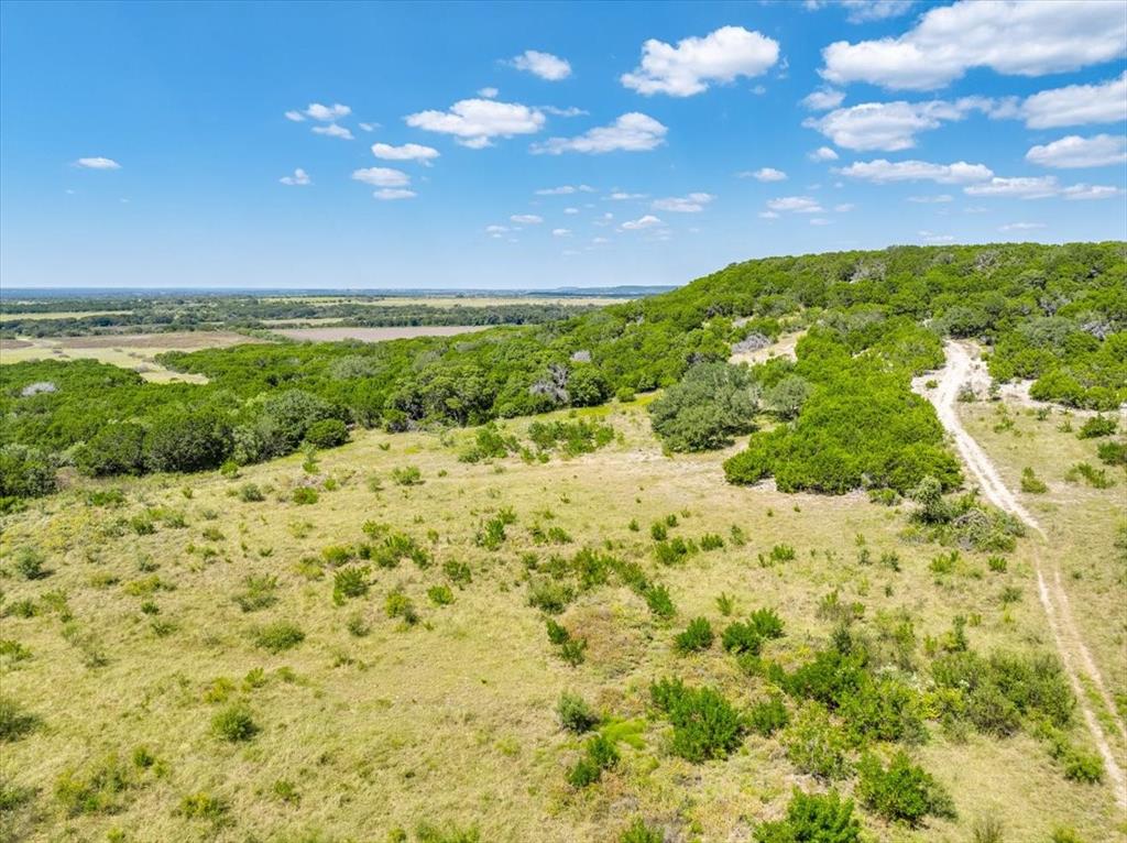 TDB 482 Acres W Fm 217 - Photo 28
