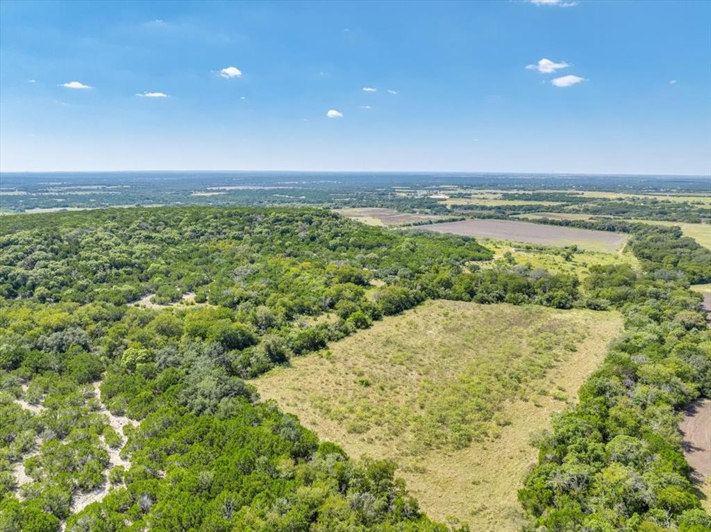 TDB 482 Acres W Fm 217 - Photo 29