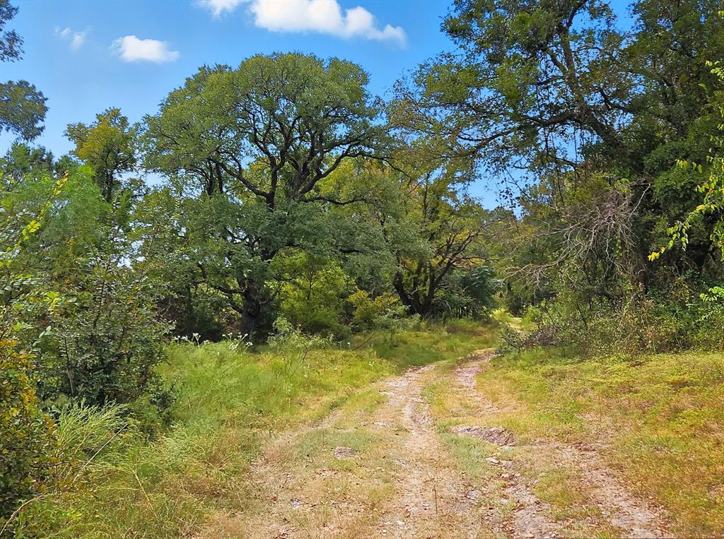 TDB 482 Acres W Fm 217 - Photo 31