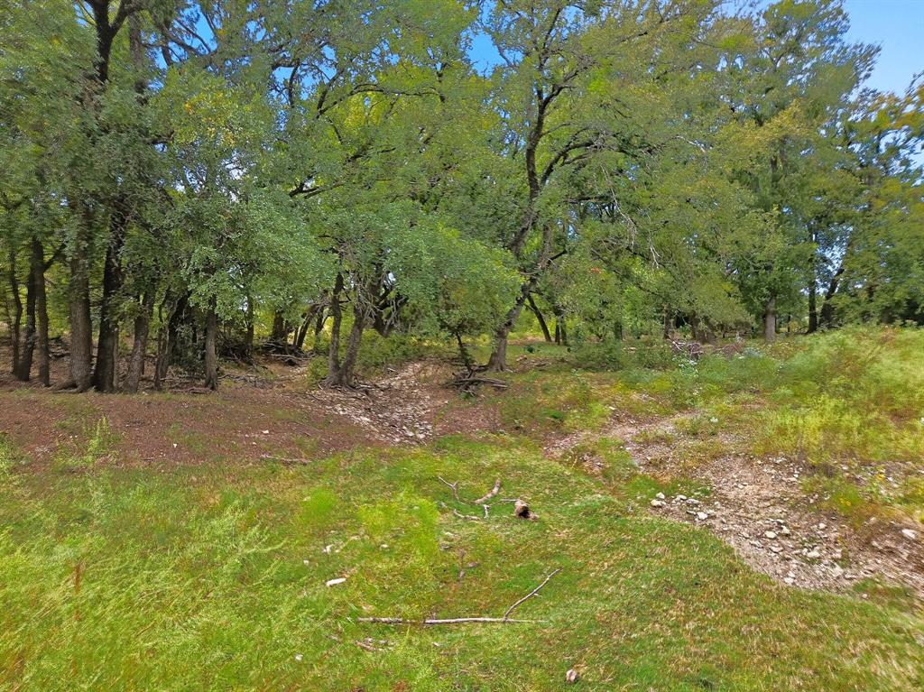 TDB 482 Acres W Fm 217 - Photo 33