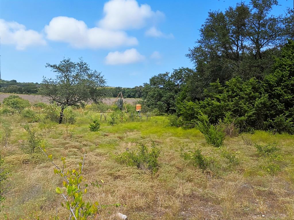 TDB 482 Acres W Fm 217 - Photo 35