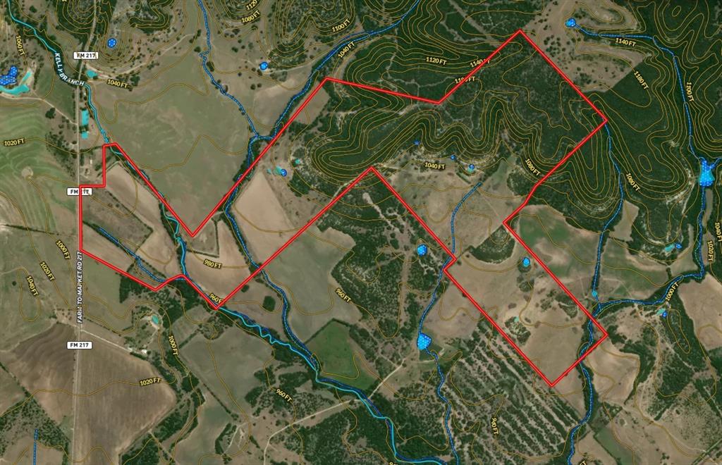 TDB 482 Acres W Fm 217 - Photo 39
