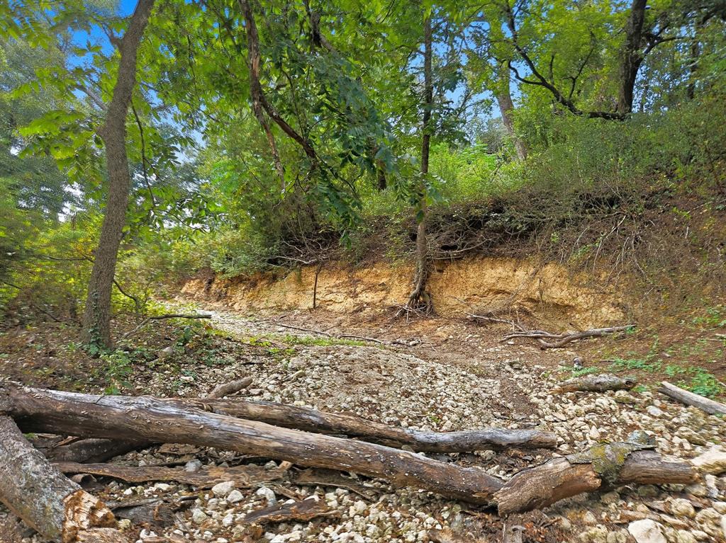 TDB 482 Acres W Fm 217 - Photo 4