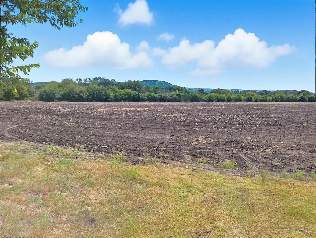 TDB 482 Acres W Fm 217 - Photo 5