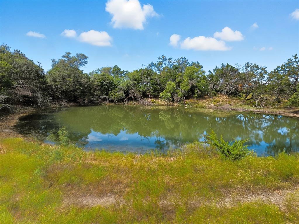 TDB 482 Acres W Fm 217 - Photo 6