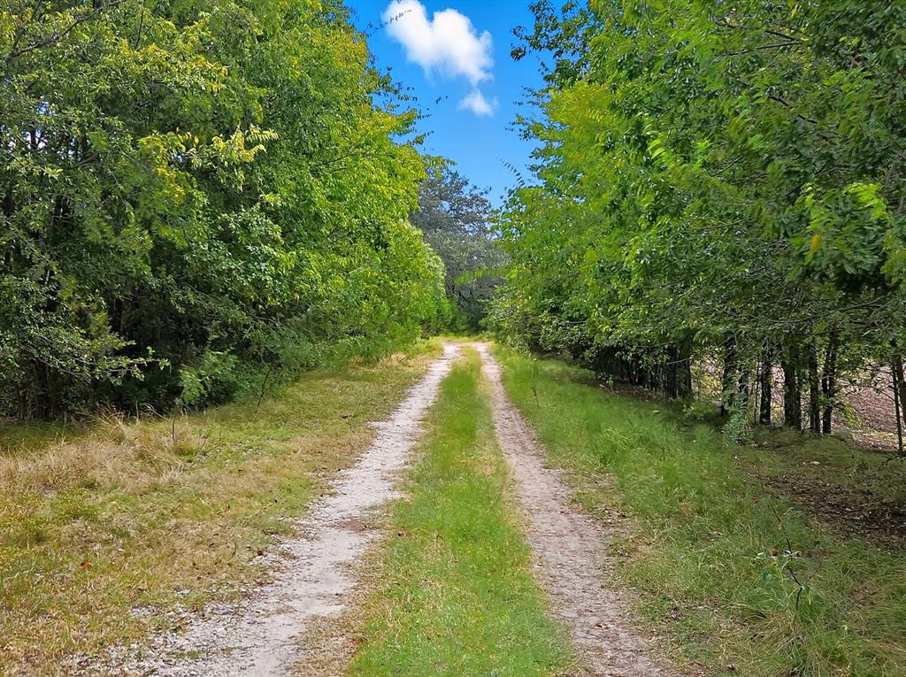TDB 482 Acres W Fm 217 - Photo 8