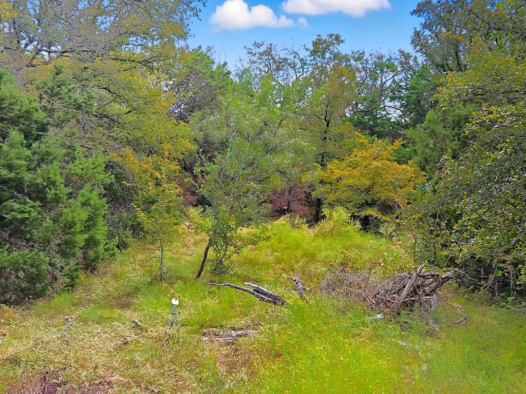 TDB 482 Acres W Fm 217 - Photo 9