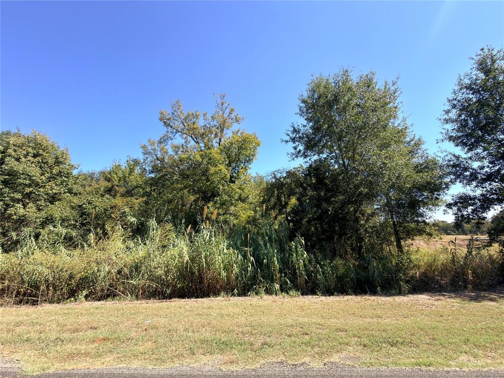 7.5 Acres S State Highway 75 - Photo 13
