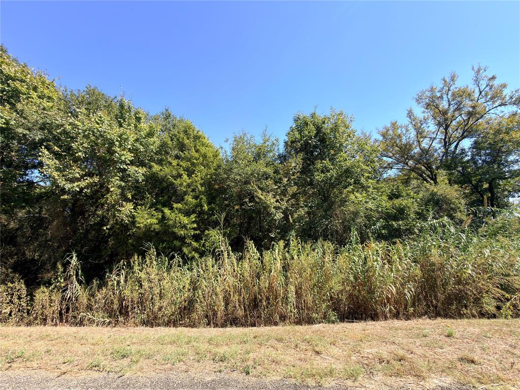 7.5 Acres S State Highway 75 - Photo 14