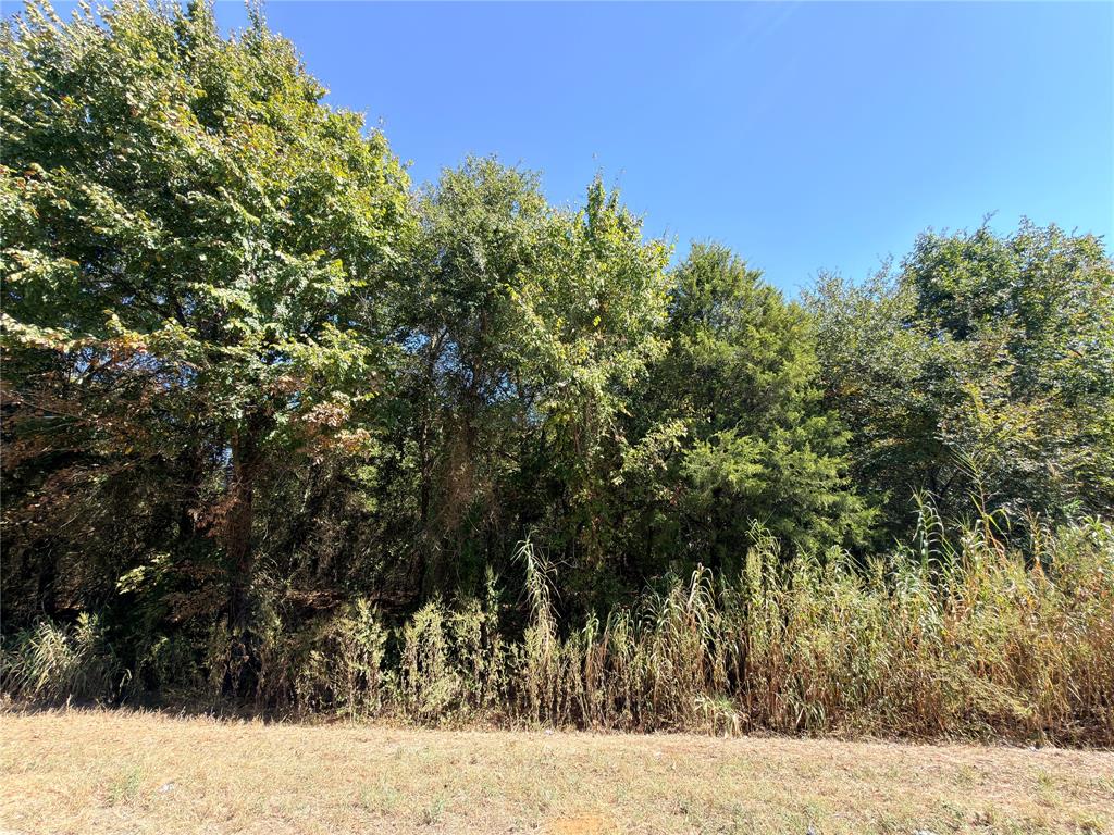 7.5 Acres S State Highway 75 - Photo 2