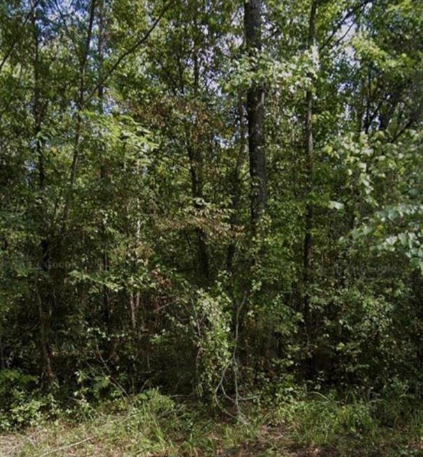 R18483 Webb Rogers Road - Photo 3