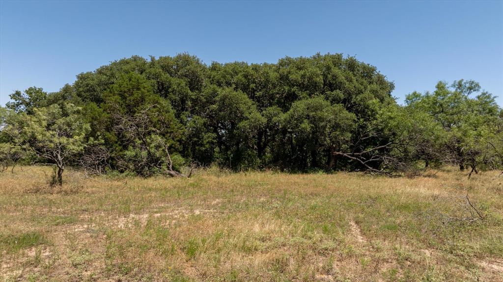170+/- ac TBD County Road 386 - Photo 21