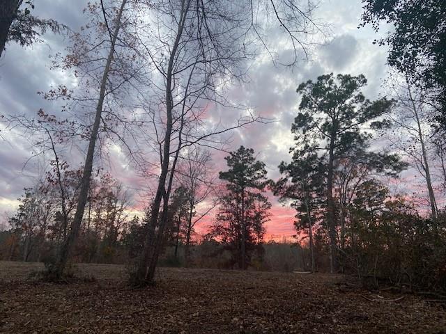 536 An County Road 1233 - Photo 1