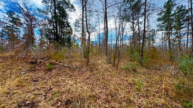 536 An County Road 1233 - Photo 10
