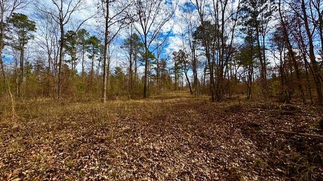 536 An County Road 1233 - Photo 12