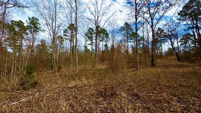 536 An County Road 1233 - Photo 13