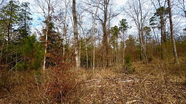 536 An County Road 1233 - Photo 14