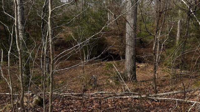 536 An County Road 1233 - Photo 17