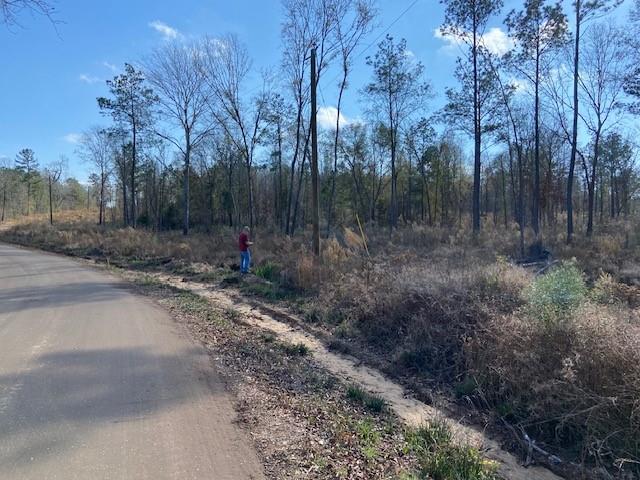 536 An County Road 1233 - Photo 2