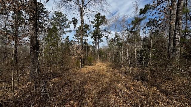 536 An County Road 1233 - Photo 20