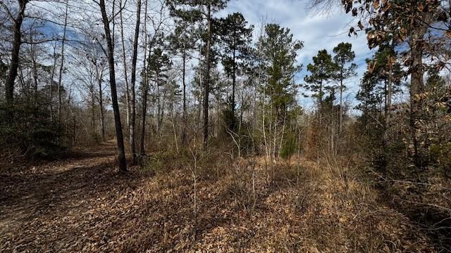 536 An County Road 1233 - Photo 22