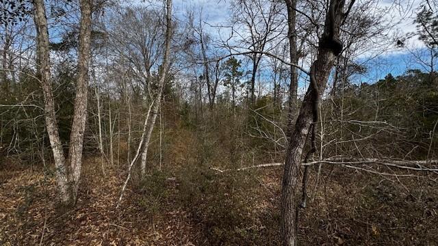 536 An County Road 1233 - Photo 25