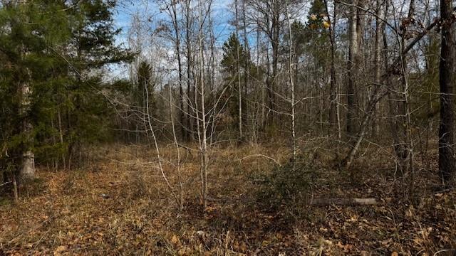 536 An County Road 1233 - Photo 26