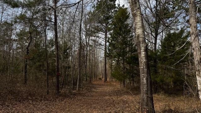 536 An County Road 1233 - Photo 27