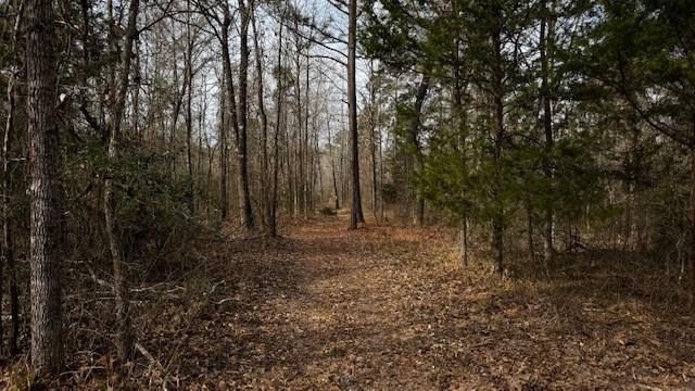 536 An County Road 1233 - Photo 28