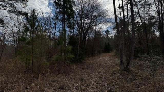 536 An County Road 1233 - Photo 29