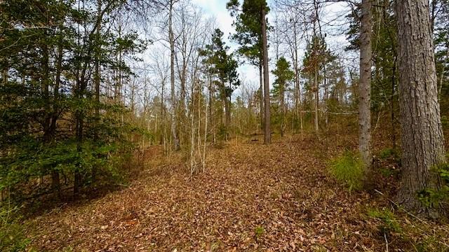 536 An County Road 1233 - Photo 3