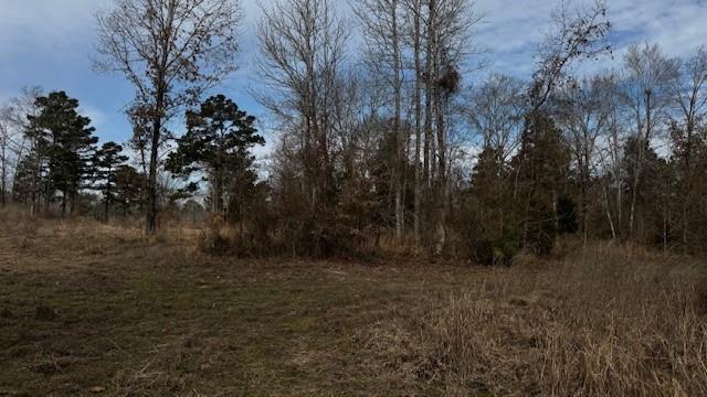 536 An County Road 1233 - Photo 31