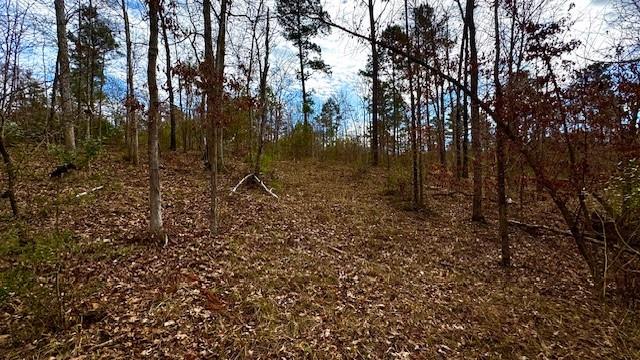 536 An County Road 1233 - Photo 6