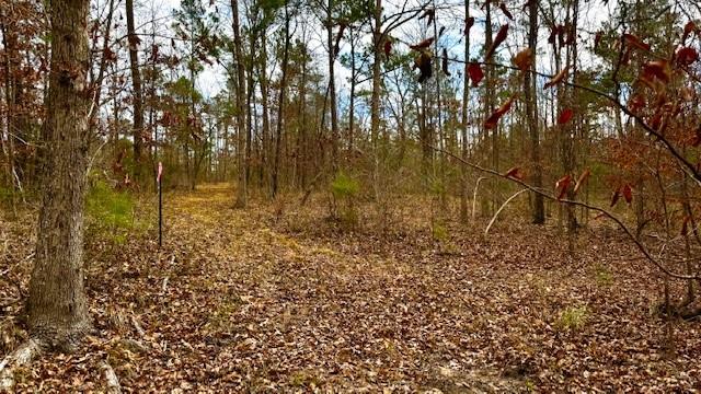 536 An County Road 1233 - Photo 8