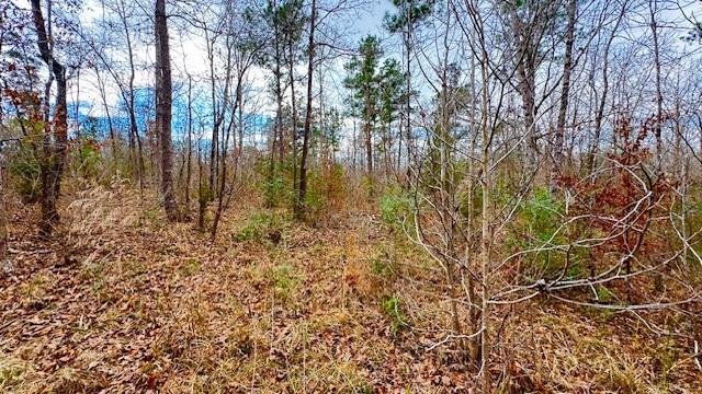 536 An County Road 1233 - Photo 9