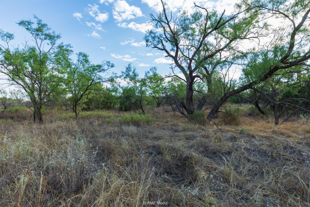TBD CR 107 - Photo 28