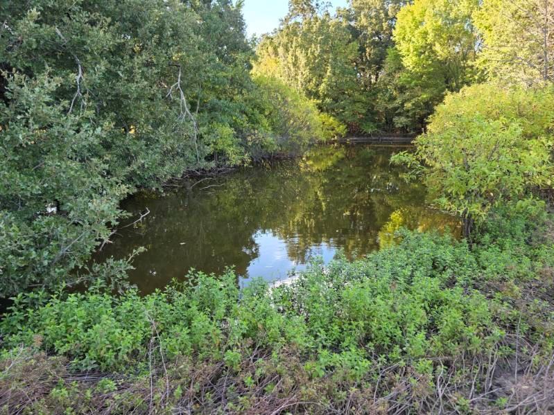 1200 E Rabbit Cove Road - Photo 16