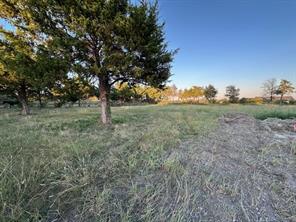 2493 LIVE OAK - Photo 14