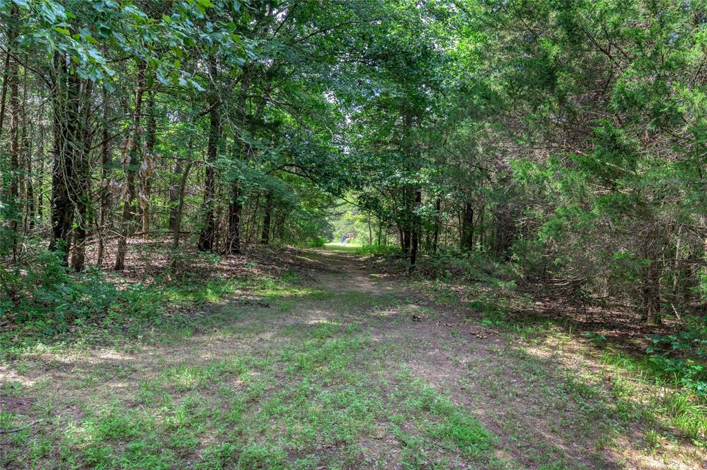 TBD Cross Timber Estates Drive - Photo 12