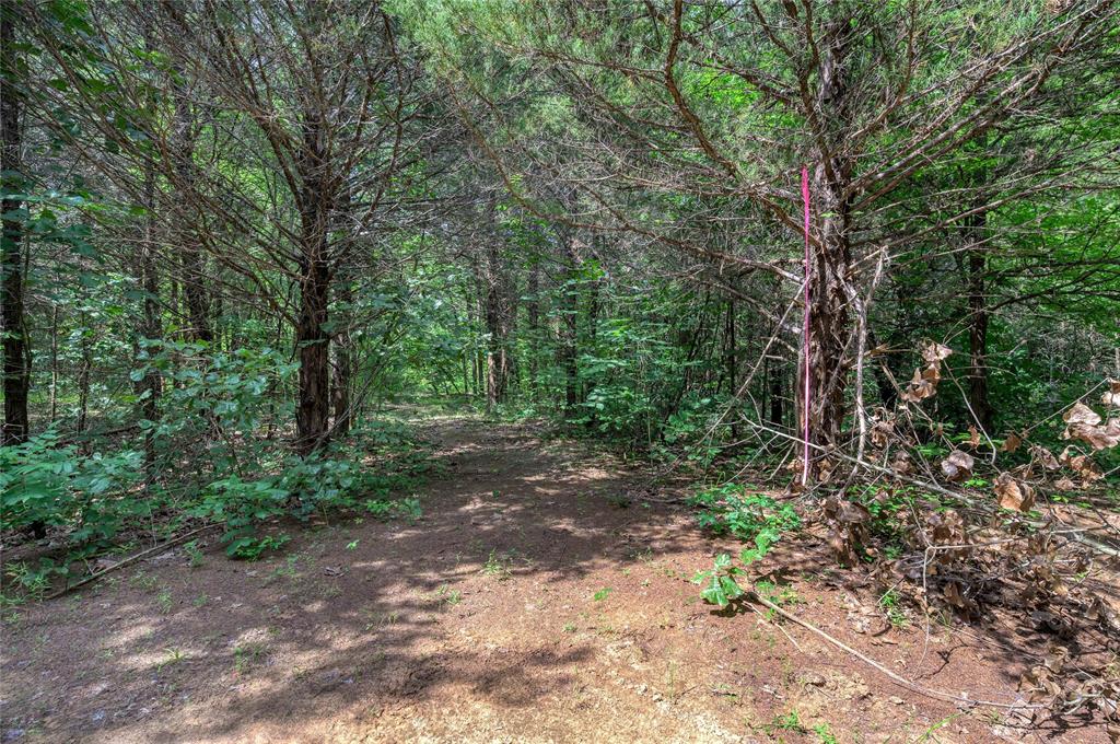 TBD Cross Timber Estates Drive - Photo 13