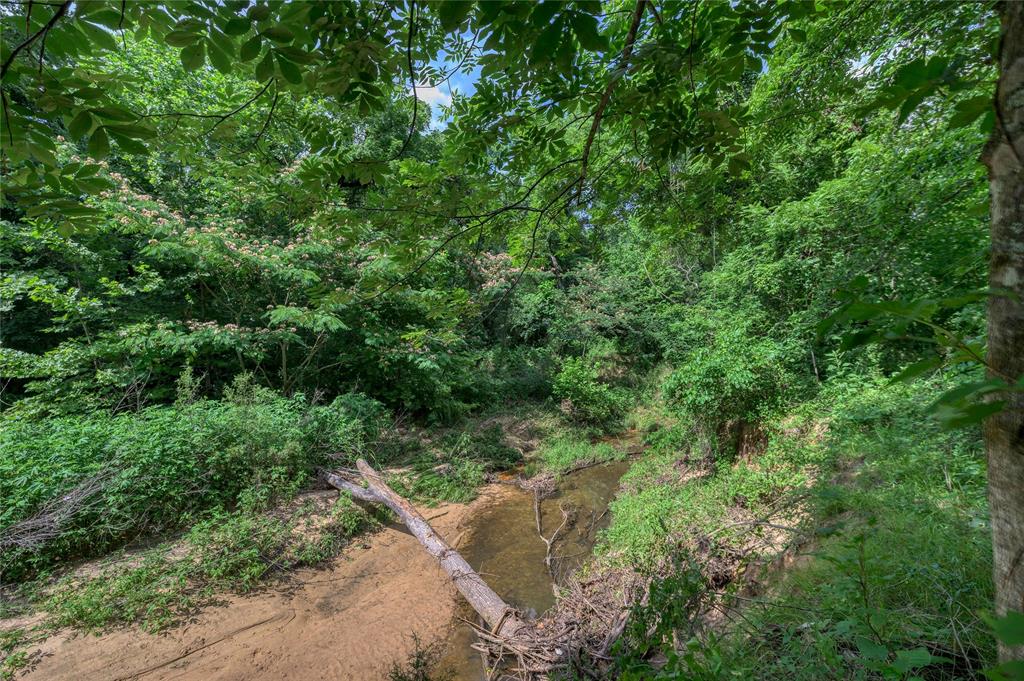 TBD Cross Timber Estates Drive - Photo 9