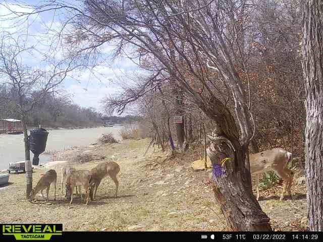 6996 Shamrock Drive - Photo 20