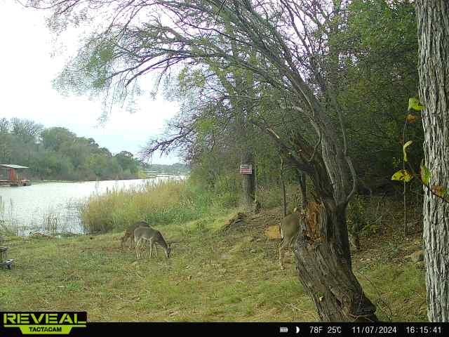 6996 Shamrock Drive - Photo 21