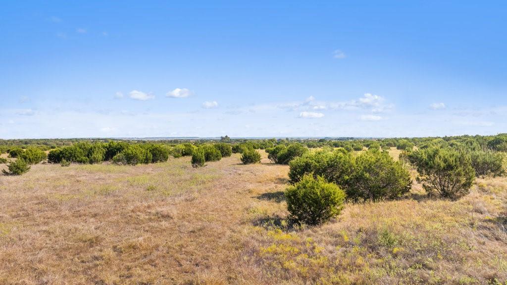 Lot 4 FM 216 - Photo 12