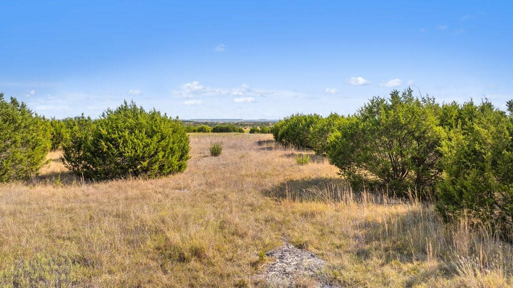 Lot 4 FM 216 - Photo 15