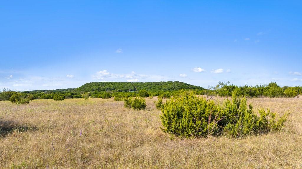 Lot 4 FM 216 - Photo 20