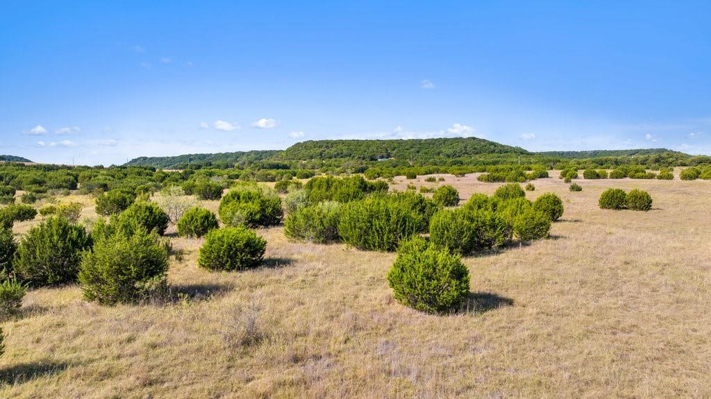 Lot 4 FM 216 - Photo 21