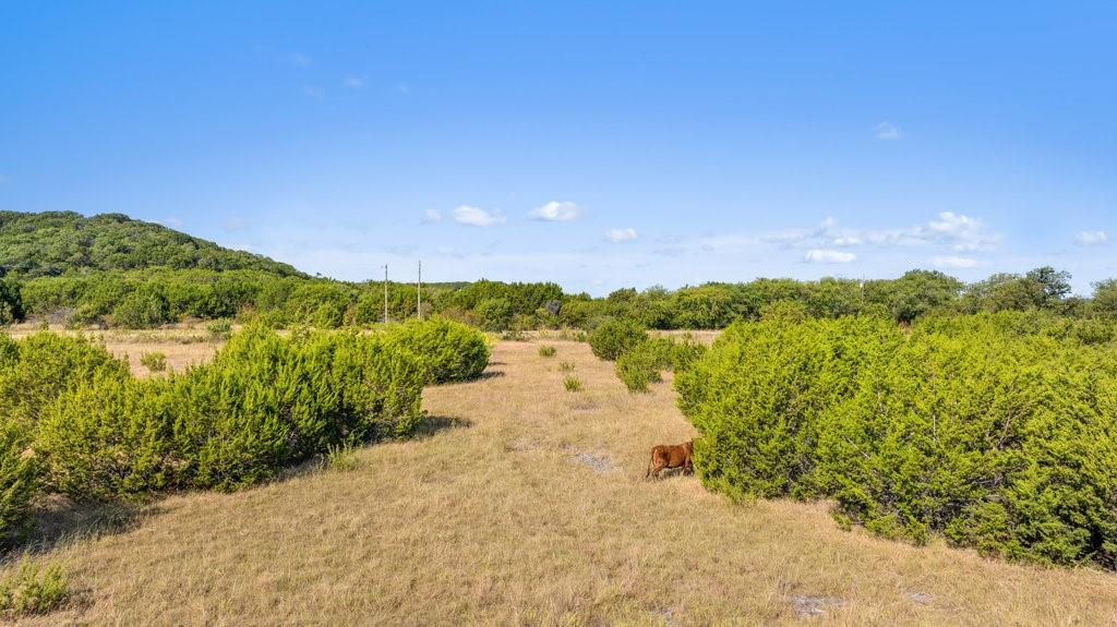 Lot 4 FM 216 - Photo 6