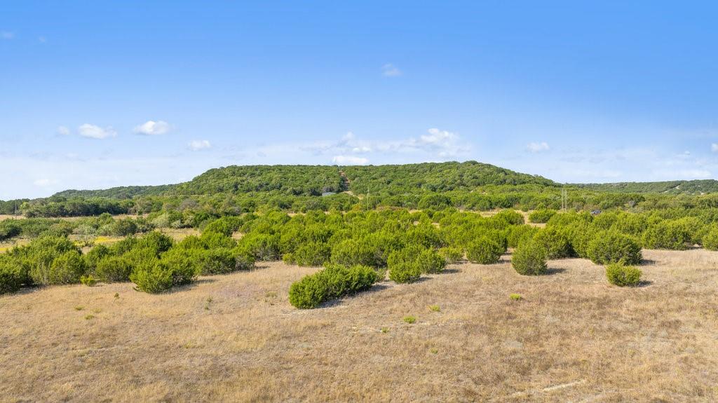Lot 4 FM 216 - Photo 7