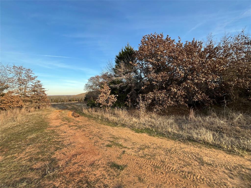 7832 Greenfield Drive - Photo 4
